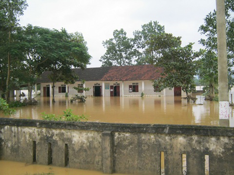 Ch&uacute;ng con xin lỗi